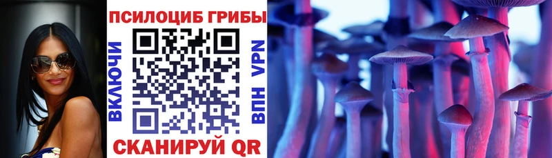 Галлюциногенные грибы Psilocybe  Лихославль 